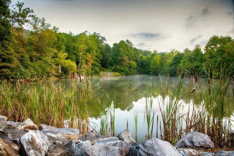 Hedrick Industries realizes the vital importance of environmental stewardship and education